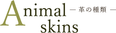 Animal Skins-革の種類-